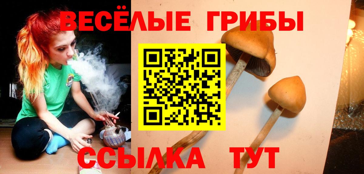 Псилоцибиновые грибы мухоморы Новошахтинск