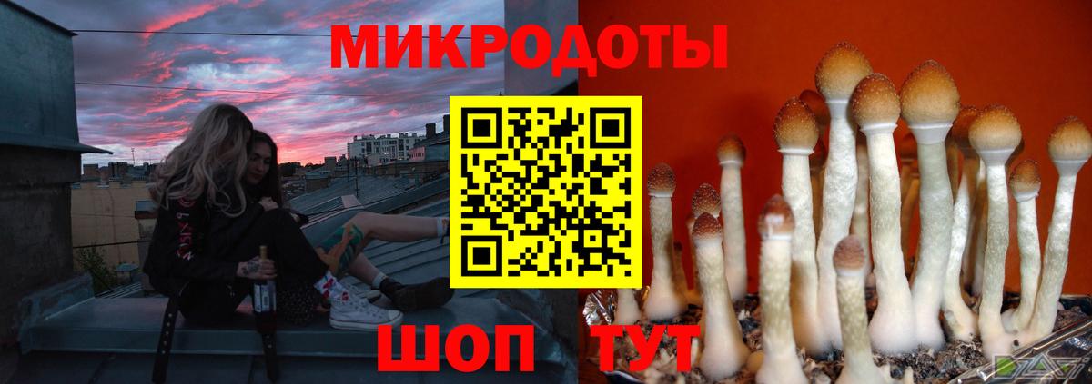 Псилоцибиновые грибы мухоморы  Псилоцибиновые грибы MAGIC MUSHROOMS  Вход с VPN  Новошахтинск 